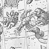 Thumbnail image of globe gores from

the 1615 celestial globe