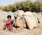 Turkmen man posing
with camel. Digital color rendering.