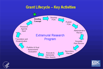 Grant Lifecycle - Key Activities