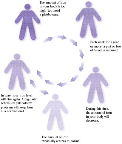 Diagram of cycle of events which result from hemochromatosis