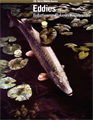 Cover of the Eddies: Reflections on Fisheries Conservation Fall 2008