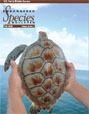 Cover of Endangered Species 2008 Fall Bulletin.