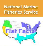 Go to Fish Facts Homepage