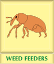 Weed-feeders
