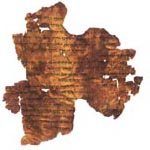 The Hosea Commentary Scroll