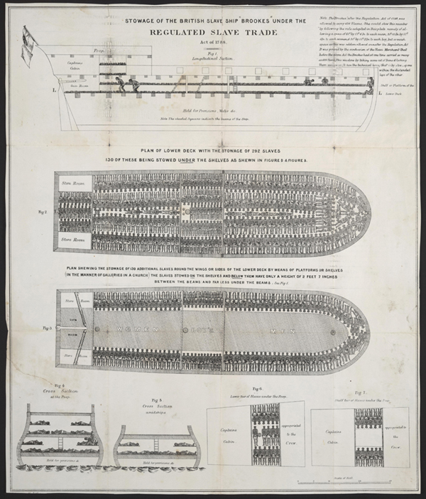 Stowage of the British slave Ship Brookes under the Regulated Slave Trade, Act of 1788.