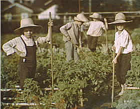 Photo: children, wearing straw hats, gardening