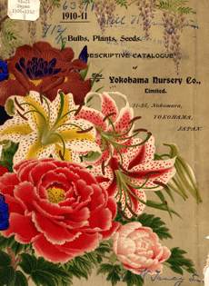 Color graphics of various blooms. Text: "1910-11. Bulbs, Plants, Seeds.  Descriptive Catalogue. Yokohama Nursery Co., Limited. "
