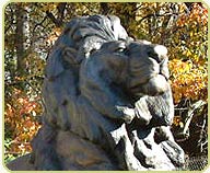 bronze lion profile