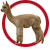 Alpaca