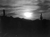 Moonlight desert scene, Pinal
County, Arizona