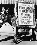 A donkey wearing a suffrage sign on its back
