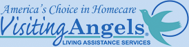 home care agencies