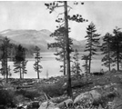 Donner Lake and Central Pacific R.R.