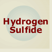 Hydrogen sulfide Topic Page image