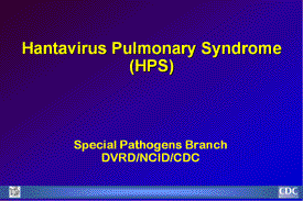 Hantavirus Pulmonary Syndrome