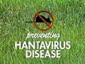 'Preventing Hantavirus Disease'