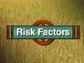 'Risk Factors'