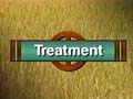 'Treatment'