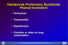 Slide 15: HPS Physical Examination