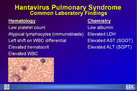 Slide 18: HPS Common Lab Findings