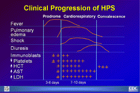 Slide 19: Clinical Progression of HPS
