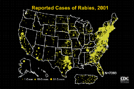US map showing all cases of rabies reported in 2001