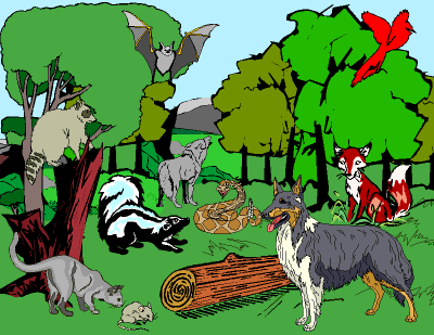 Cartoon drawing of animals in forest