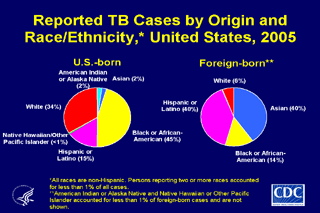 Slide 13: Reported TB Cases by Origin and Race/Ethnicity, United States, 2005. Click here for larger image