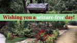A Seizure-free Day