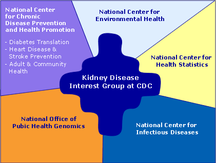Kidney Initiative