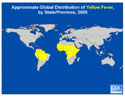Yellow Fever Map Thumbnail