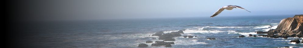 A seagull flies over the California Coastal National Monument which stretches along the entire coast of California and extends 12 miles into the Pacific Ocean.  The Monument includes 20,000 rocks, islands, pinnacles and reefs.