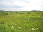 a good brushland landscape adjacent to one of the landowners participating in the cooperative sharp-tailed grouse management projects — a combination of shearing and prescribed burning is used to keep the landscape open (NRCS photo)