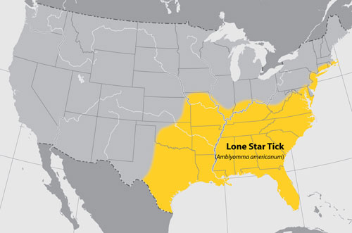 Map of the United States showing the distribution of the Lone Star tick.