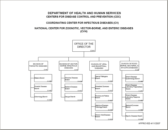 NCZVED Organizational Chart