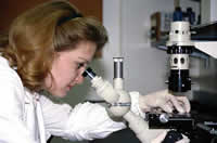 Photograph of worker in a laboratory