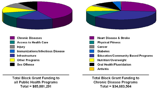 Funding by Health Program Areas FY 2008

Total Block Grant Funding to All Public Health Programs: $85,881,291.

Total Block Grant Funding to Chronic Disease Programs: $34,683,564.