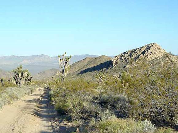 Photograph of Mojave Desert.