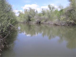 Cottonwood Creek, tributary of the Klamath River and spawning habitat for Coho Salmon.
