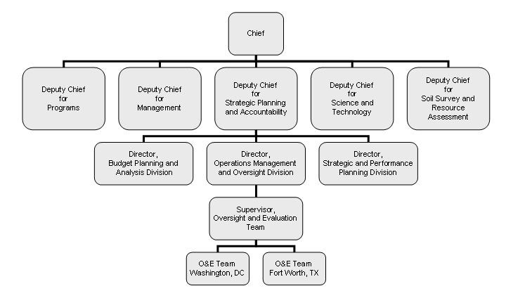 Strategic Planning and Accountability Organization Chart