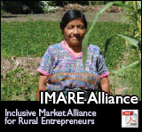 IMARE Alliance: Inclusive Market Alliance for Rural Entrepreneurs