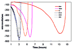 Figure 1. Growth curves of Staphylococcus aureus strains measured by changes in redox potential on a cytosensor. Starting from the far right of the graph are the Michigan strain, the Japanese strain Mu50, the New Jersey strain, and three vancomycin-susceptible control strains.