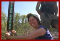 A volunteer sets a trail marker post