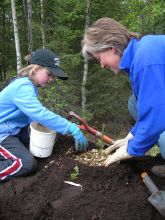 Mother and daughter planting a spruce sapling