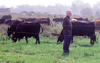Ray Meismer wanted ideas and assistance to convert to management-intensive grazing for his cow/calf herd, but in a way that would be sensitive to his steep slopes and protect a vigorous natural spring