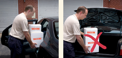 When transporting vaccine in ordinary vehicles use the passenger compartment—not the trunk.