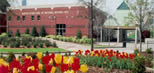 Martin Luther King, Jr. visitor center amid red and yellow tulips