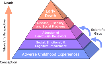 Description of Adverse Childhood Experiences Pyramid: This figure depicts a pyramid divided into five layers. Each layer represents the manner in which adverse childhood experiences influence health over the lifespan, from conception (the bottommost layer) to death (the top of the pyramid). The pyramid is not solid, but has space between each layer that represent the scientific gaps in our knowledge of the relationships between the layers. The bottom layer of the pyramid is labeled “adverse childhood experiences”. The next layer up the pyramid is labeled “social, emotional, and cognitive impairment”. The third layer is labeled “adoption of health-risk behaviors”. The fourth layer is labeled “disease, disability, and social problems,” and the top-most layer is labeled “early death”. This then represents the conceptual pathways that lead from adverse childhood experiences early in life to health problems and mortality many years later. 