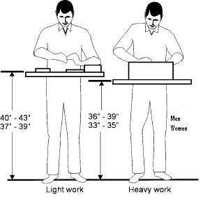 proper standing height for performing hand work, men and women